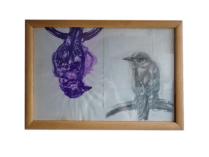 Aves #2 y #3